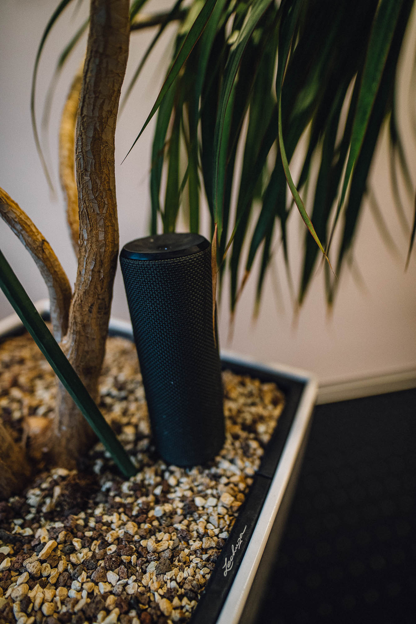 Export x3 1DX25511 Hochzeit 2019 Huebscher